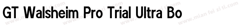 GT Walsheim Pro Trial Ultra Bold Re字体转换